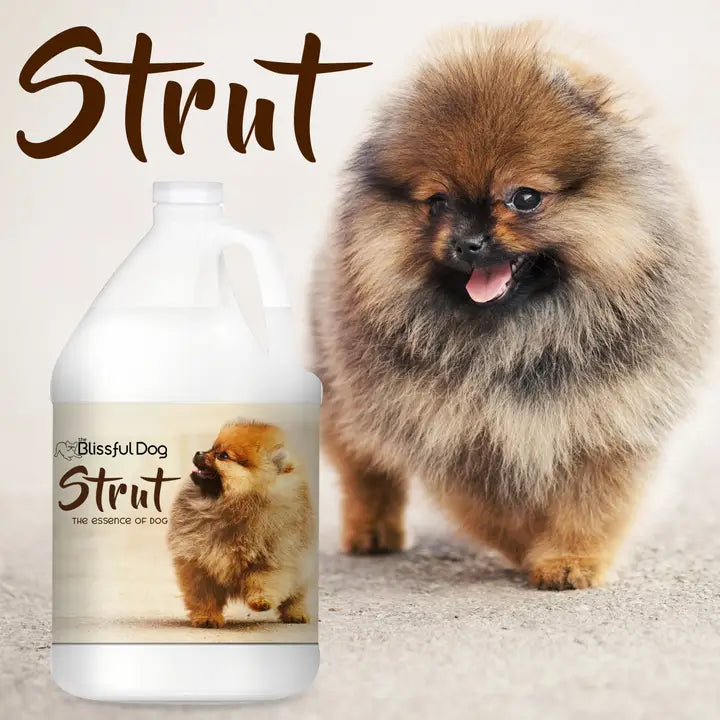 Strut Dog Cologne | the Essence of Dog Gallon