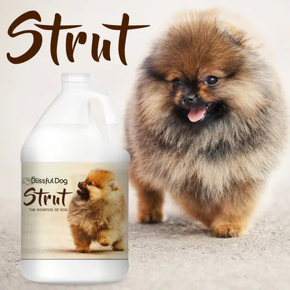 Strut Dog Cologne | the Essence of Dog Gallon