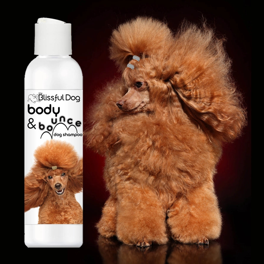 Body &amp; Bounce Dog Shampoo For Volume &amp; Oomph
