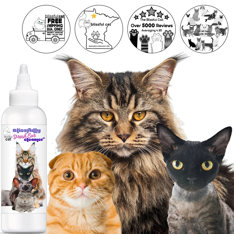 The Blissful Dog - The Blissful Cat Simply Clean Ear Cleaner in 3 Sizes