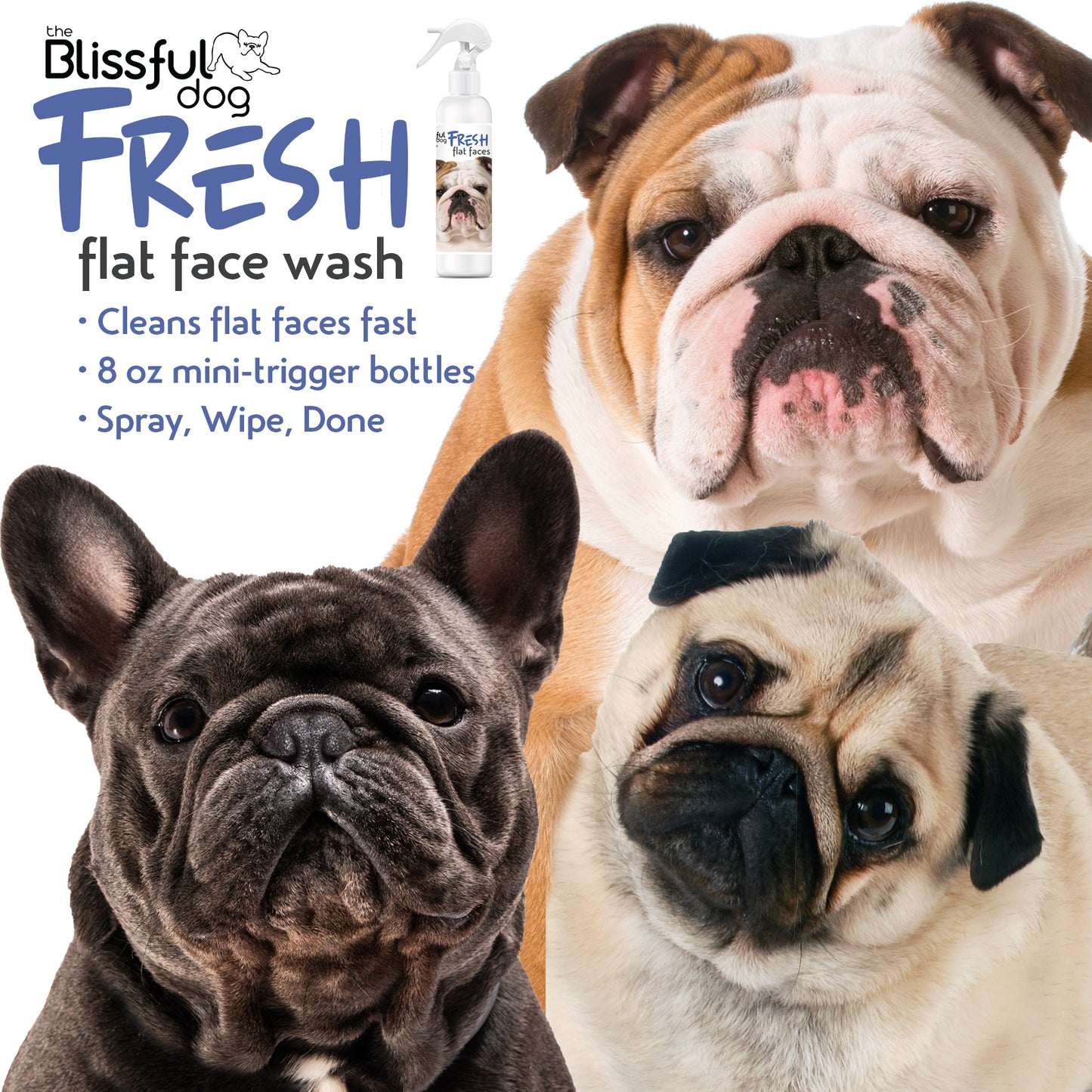 Fresh Flat Face Wash | Flat & Wrinkle Dog Faces