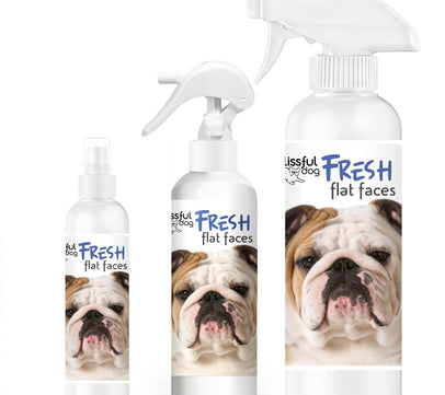Fresh Flat Face Wash | Flat & Wrinkle Dog Faces