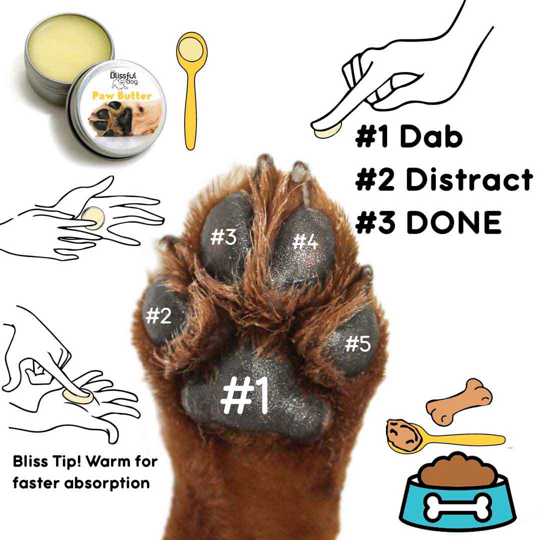 Paw Butter for Rough, Dry Dog Paws