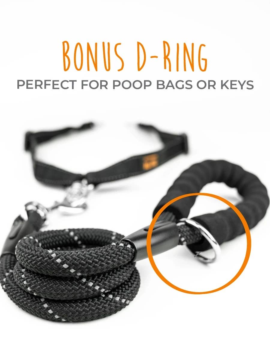 Double Dog Leash - Rope Handle