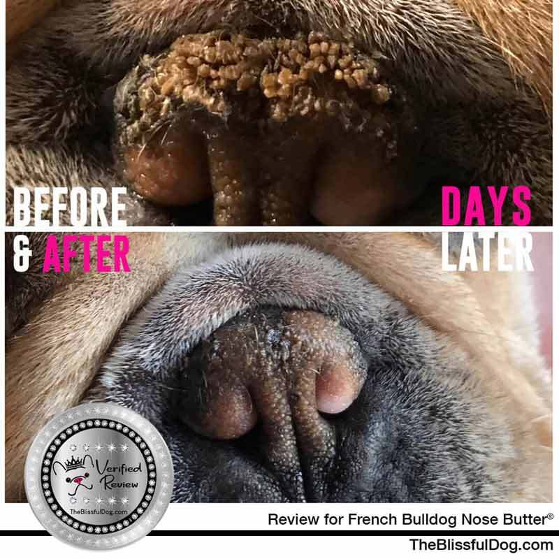 Nose Butter for Rough, Dry Dog Noses