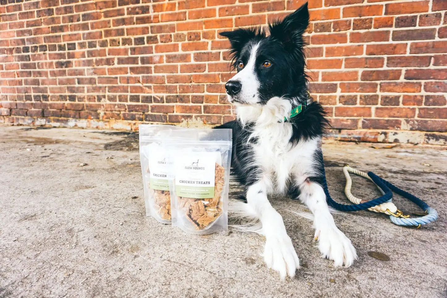 Farm Hounds Chicken Treats