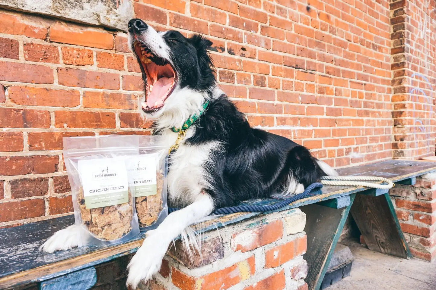 Farm Hounds Chicken Treats