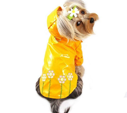 Polka Dots and Daisies Raincoat