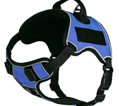 Dogline Quest Multi-Purpose Dog Harness, Blue, 15-18”