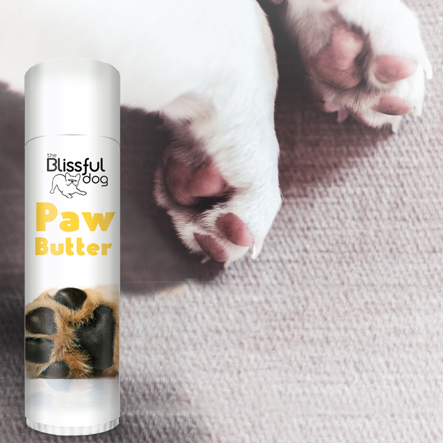 Paw Butter for Rough, Dry Dog Paws
