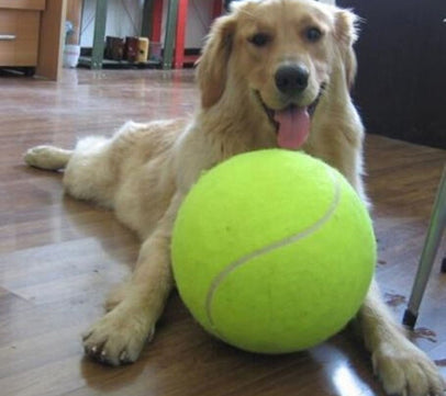 Jumbo Tennis Ball