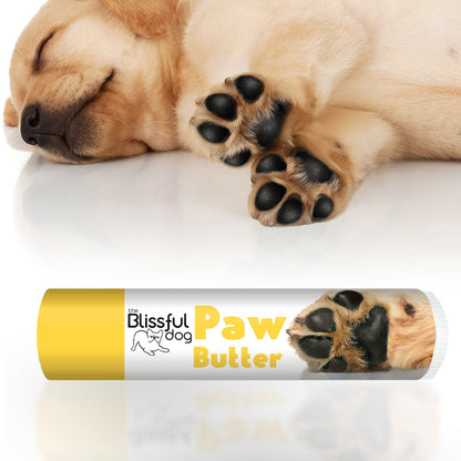 Paw Butter for Rough, Dry Dog Paws