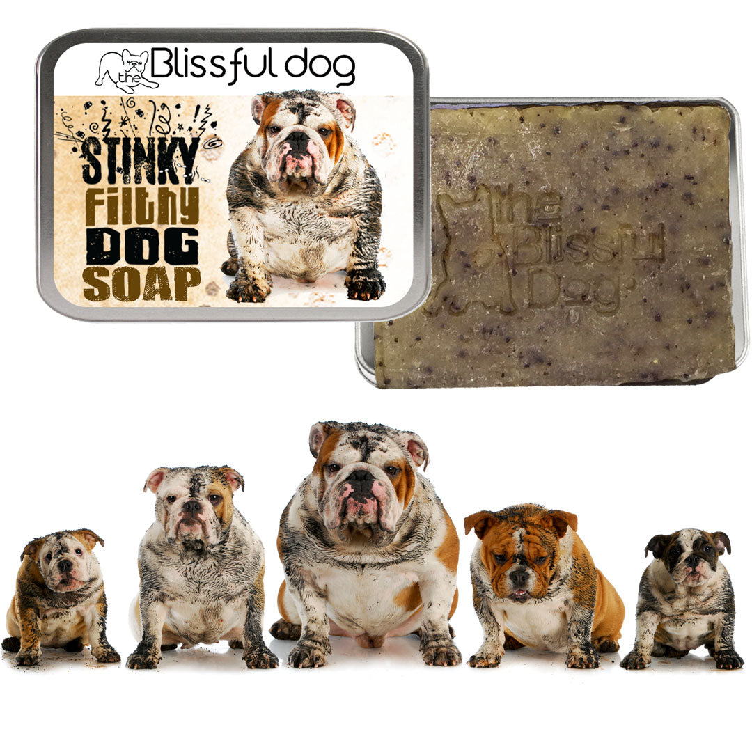 Stinky Filthy Dog Bar Soap for Your Filthy Animal