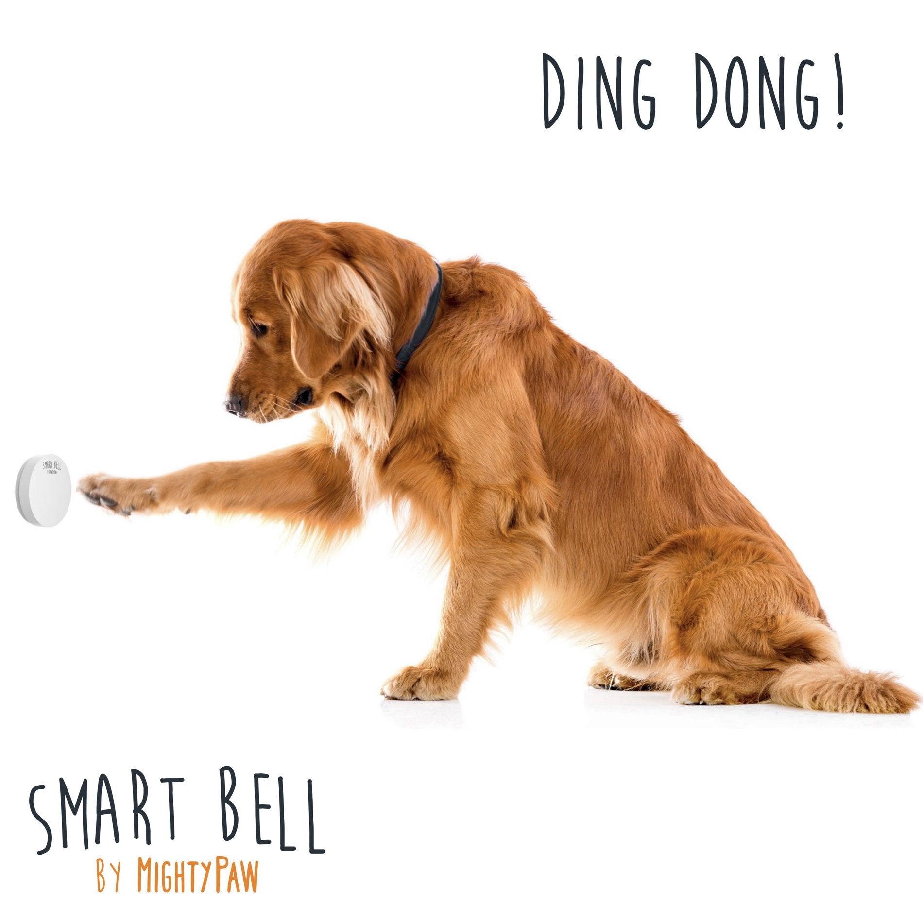Mighty Paw Smart Bell 2.0 (Wireless Dog Doorbell)