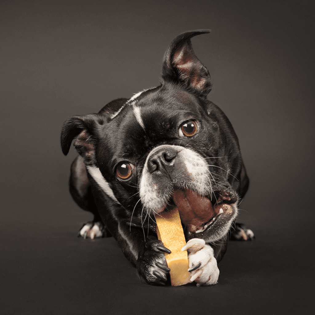 Peaks N Paws Yak Milk Dog Chews - Medium