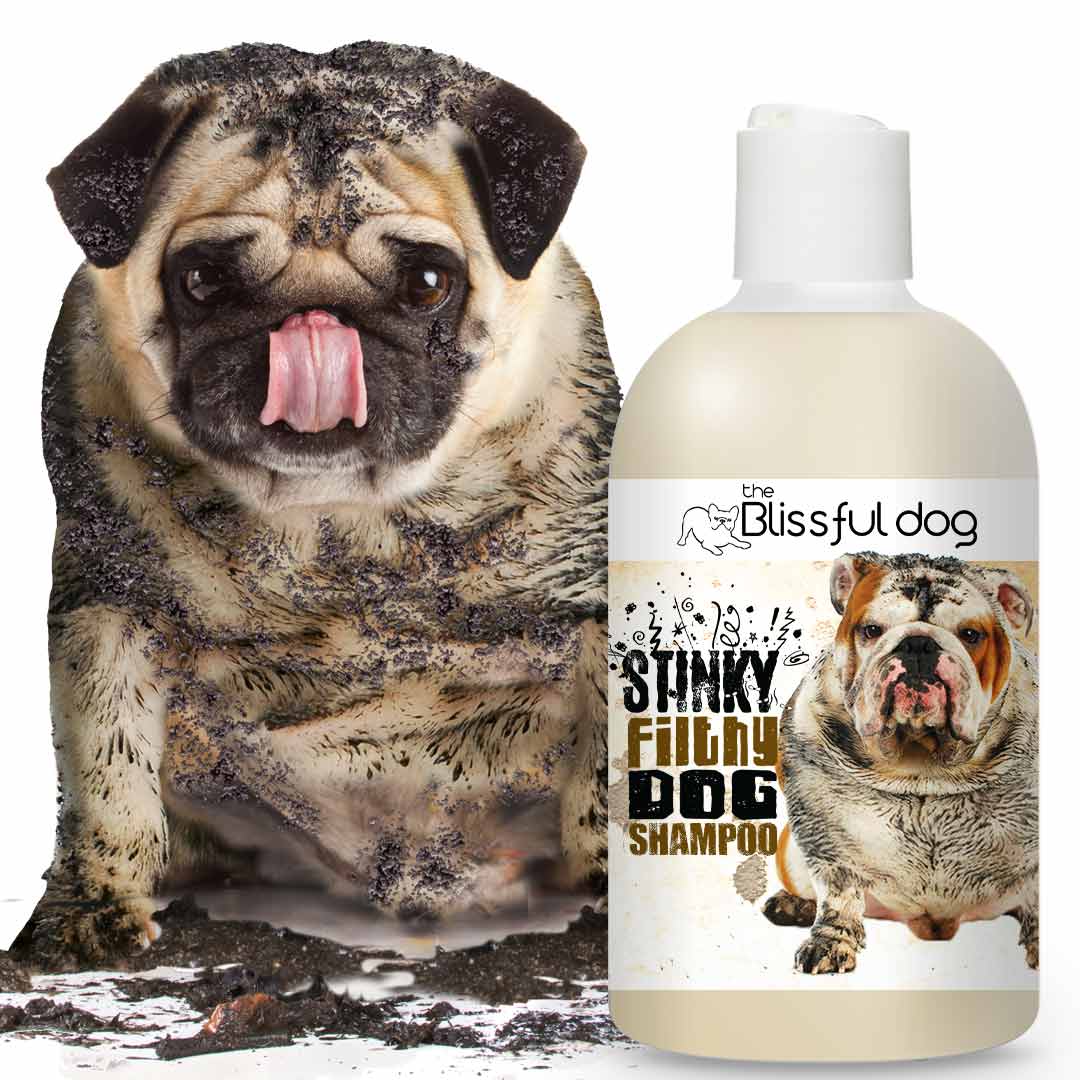 Stinky Filthy Dog Shampoo for Your Filthy Animal of a Dog