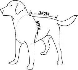 Paws Aboard Neon Yellow Dog Life Jacket (Fido Pet)