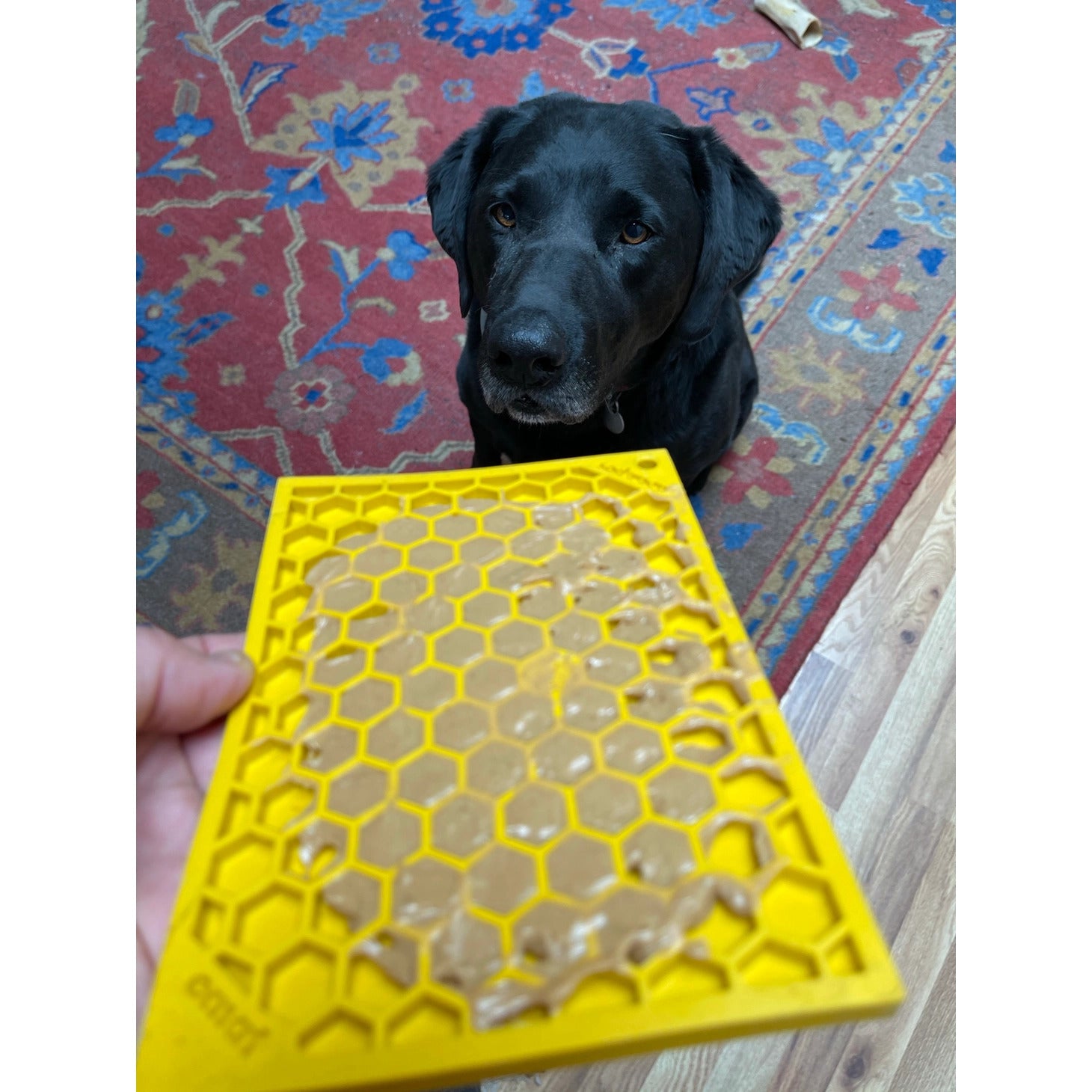 Honeycomb Design Enrichment Lick Mat