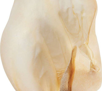 Willy's Wags Natural Pet Treats - Cow Ears