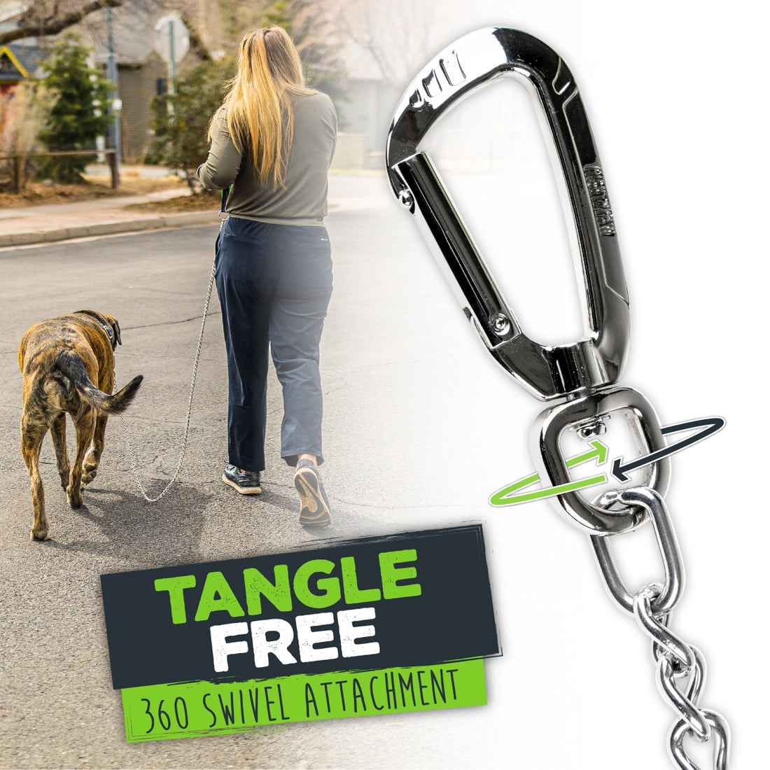 5paws Chain Mighty Paw Chain Dog Leash - 6ft – Omorog Raw Pet Food