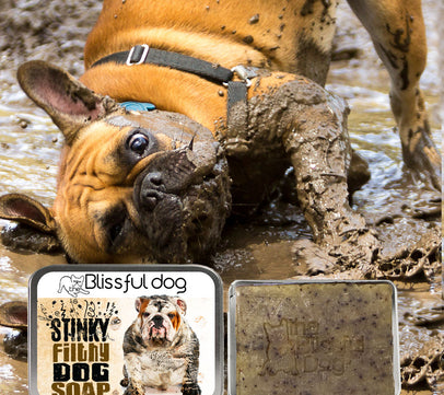 Stinky Filthy Dog Bar Soap for Your Filthy Animal