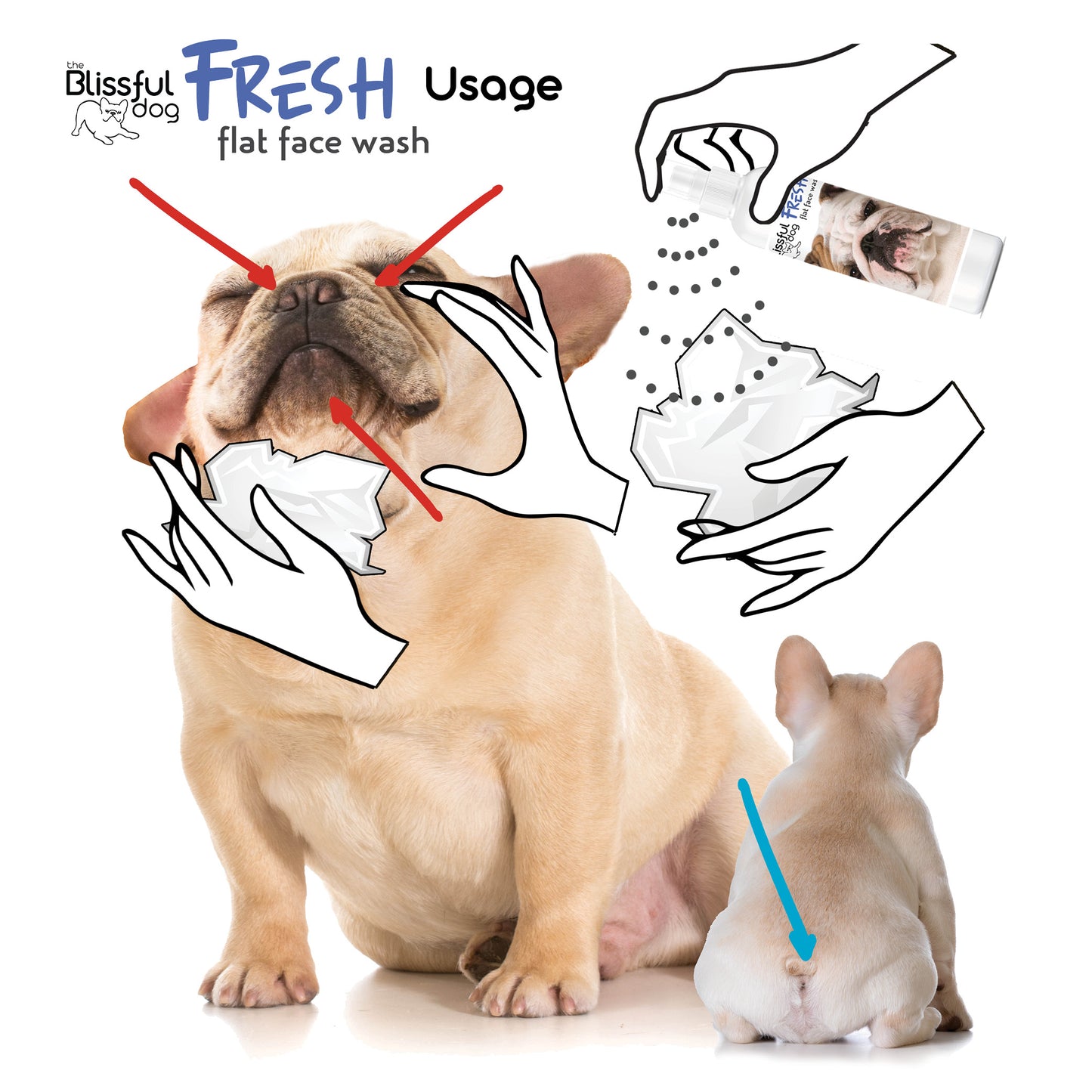 Fresh Flat Face Wash | Flat & Wrinkle Dog Faces