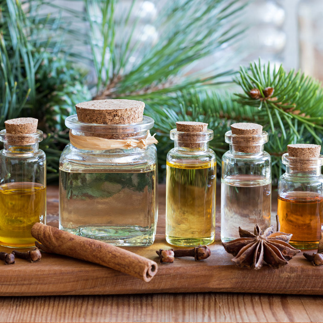 Stinky Filthy Dog Bar Soap for Your Filthy Animal