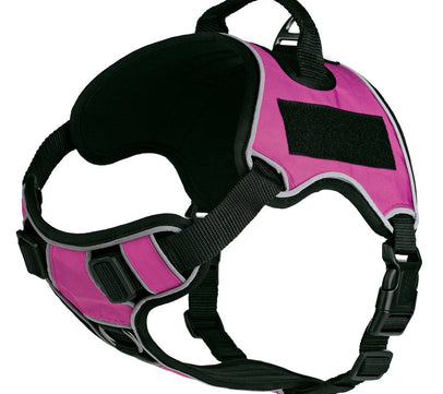 Dogline Quest Multi-Purpose Dog Harness, Pink, 15-18”
