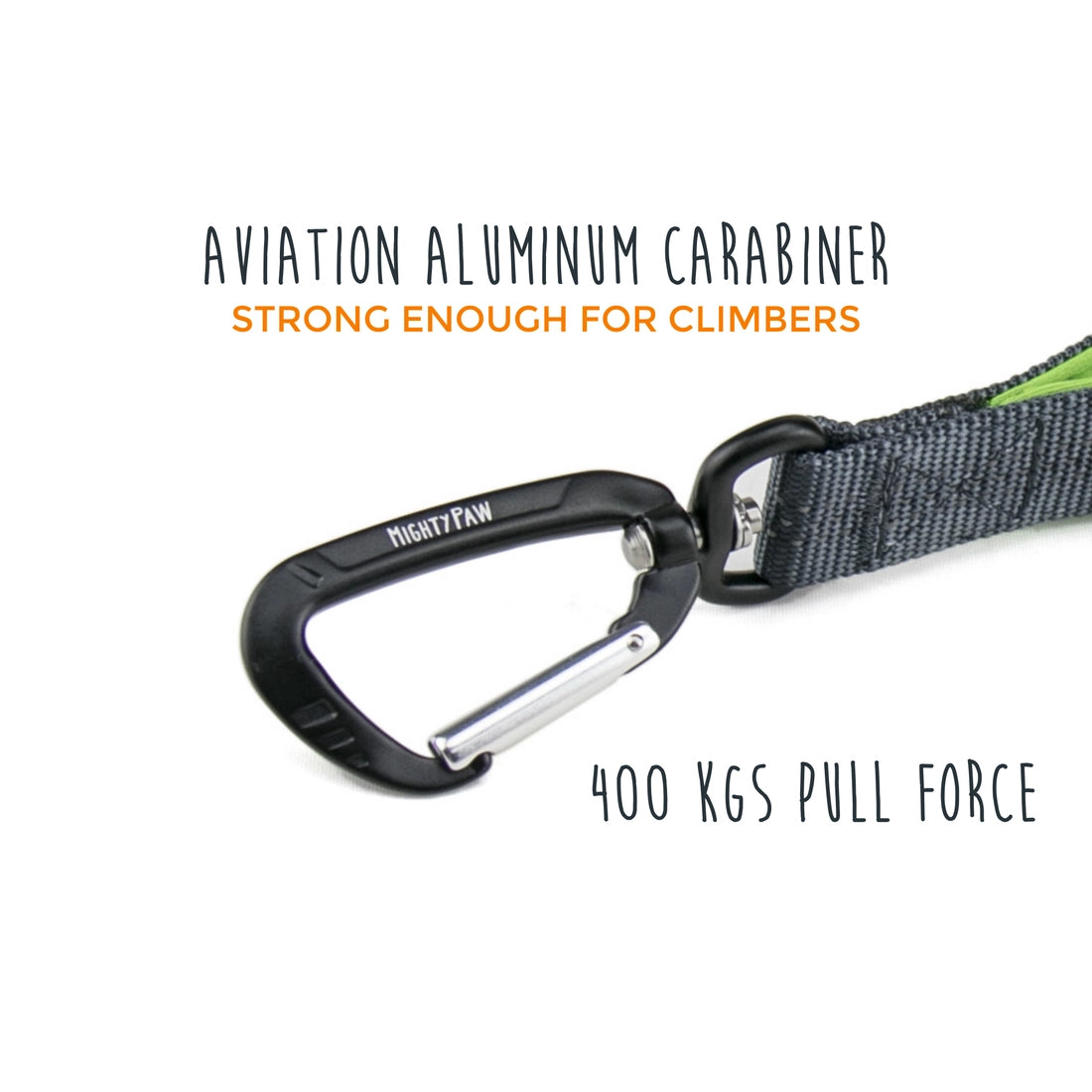 Leash Tab - Short Dog Leash