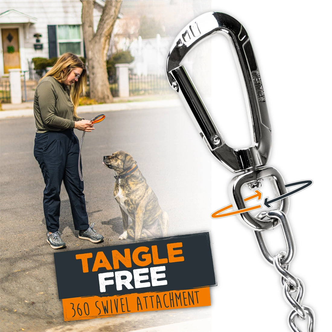 Mighty Paw Chain Dog Leash - 6ft