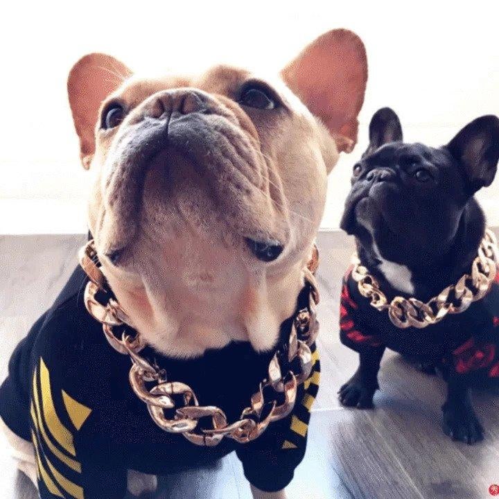 Thick Gold Chain Pets Safety Collar (Adjustable Length)