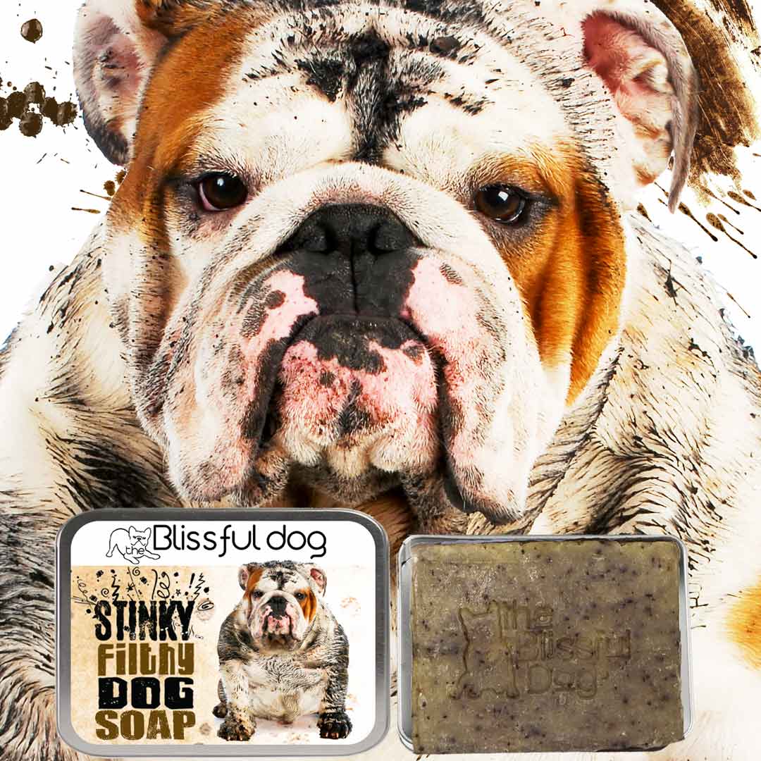 Stinky Filthy Dog Bar Soap for Your Filthy Animal