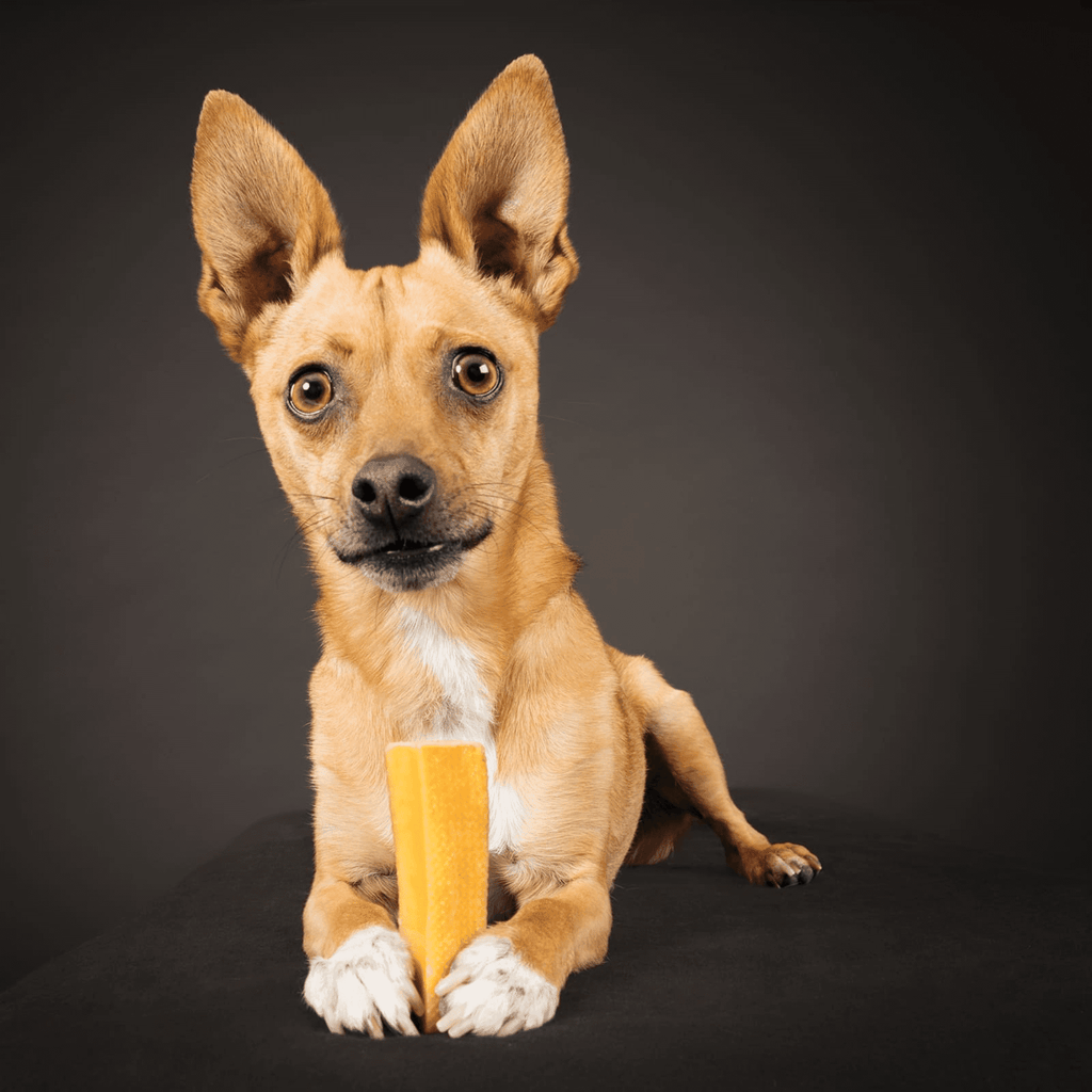 Peaks N Paws Yak Milk Dog Chews - Small