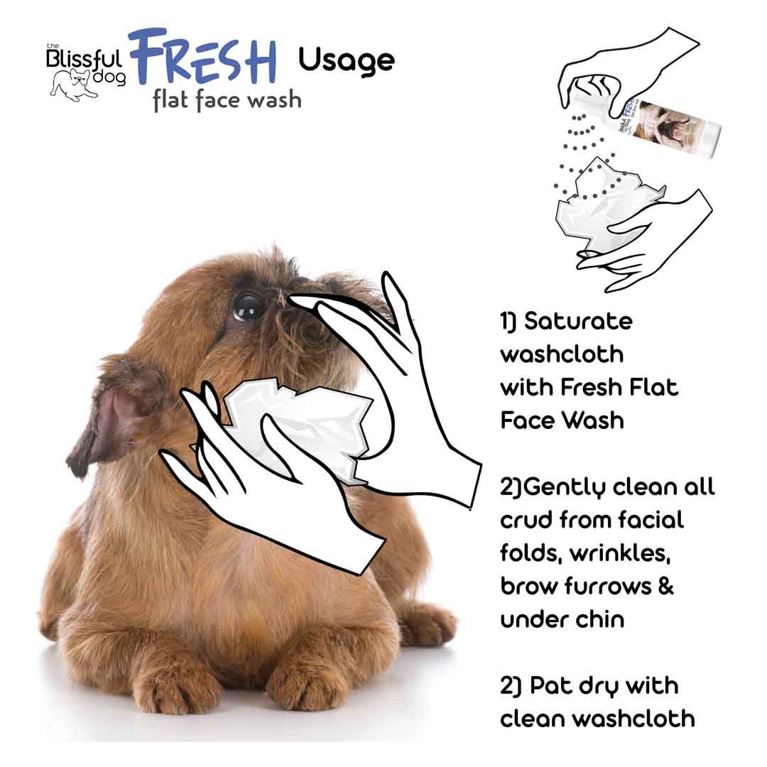 Fresh Flat Face Wash | Flat & Wrinkle Dog Faces