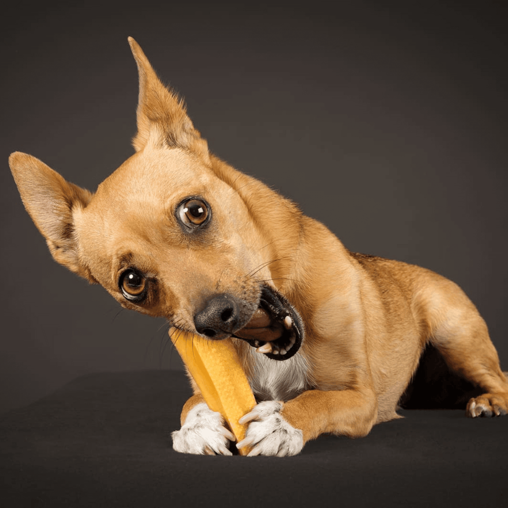 Peaks N Paws Yak Milk Dog Chews - Small