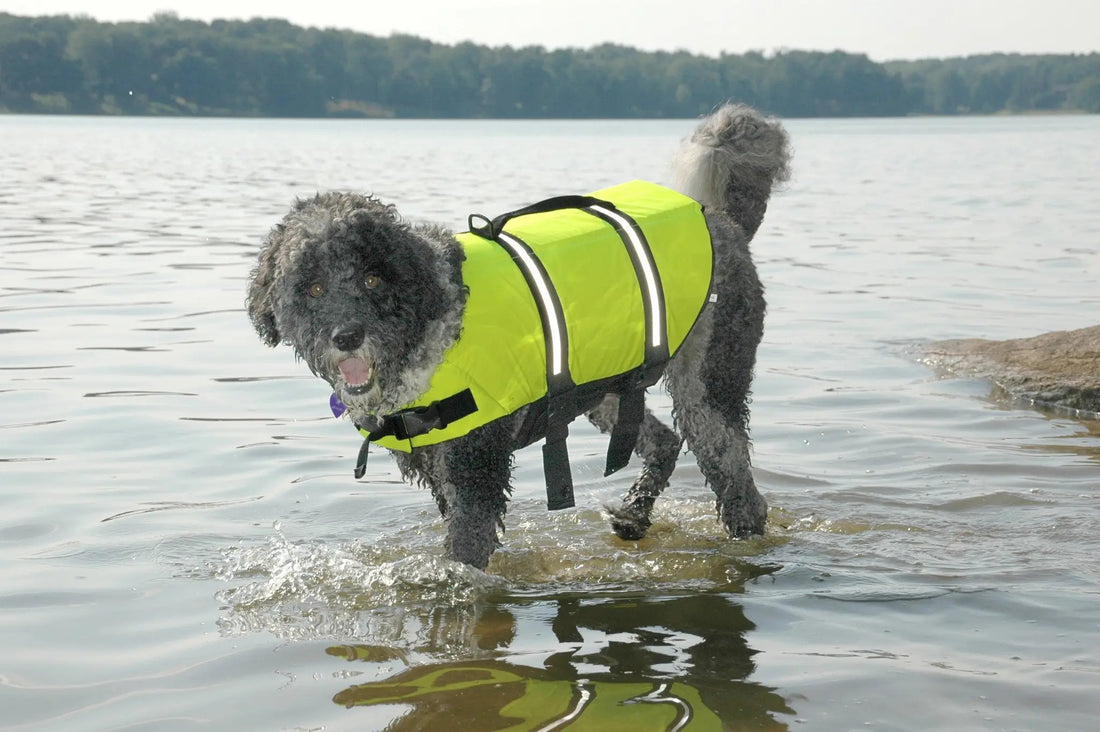 Paws Aboard Neon Yellow Dog Life Jacket (Fido Pet)