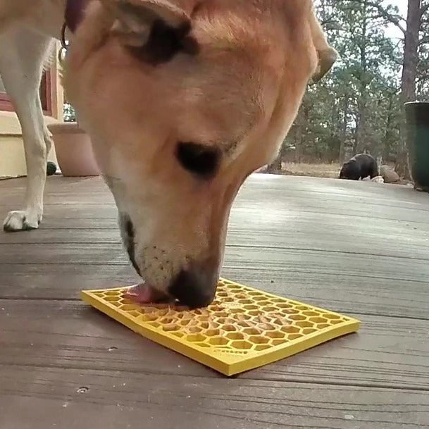 Honeycomb Design Enrichment Lick Mat