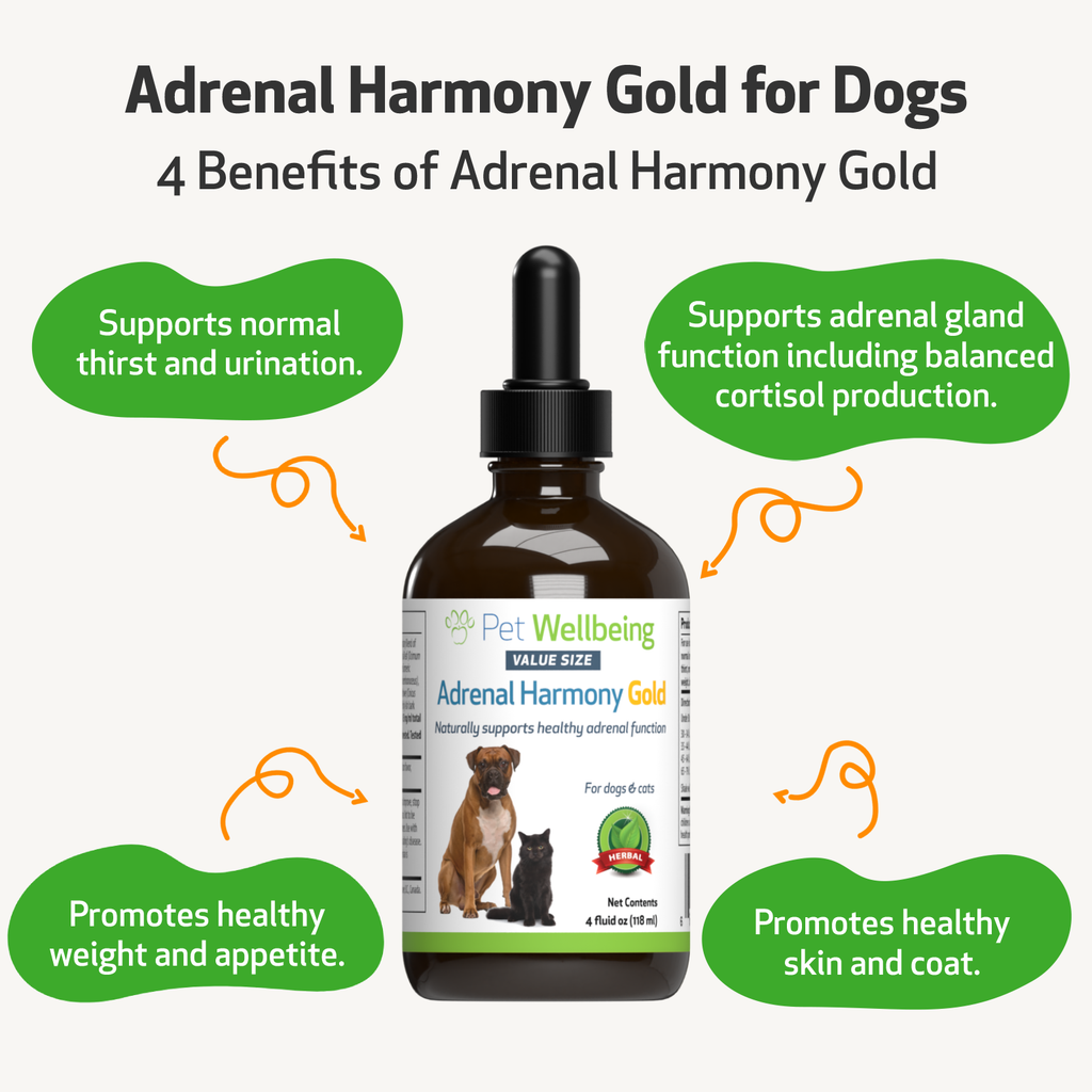 Pet Wellbeing - Adrenal Harmony Gold - for Dog Cushing&