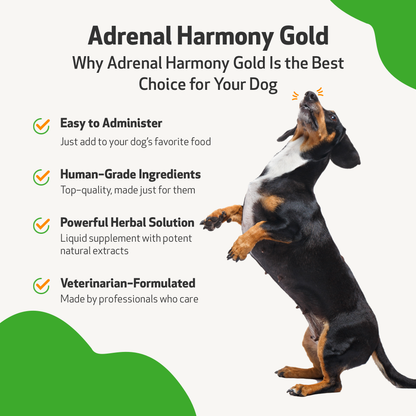 Pet Wellbeing - Adrenal Harmony Gold - for Dog Cushing&