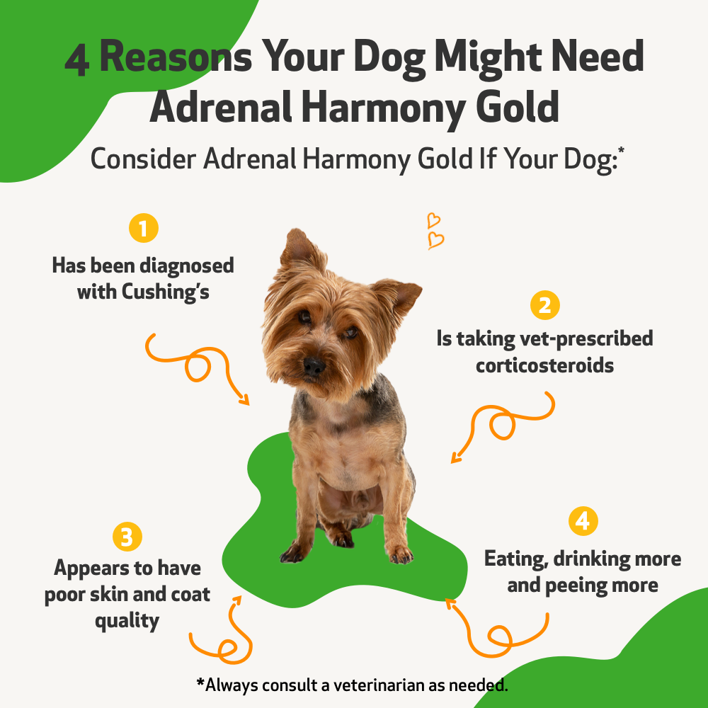 Pet Wellbeing - Adrenal Harmony Gold - for Dog Cushing&