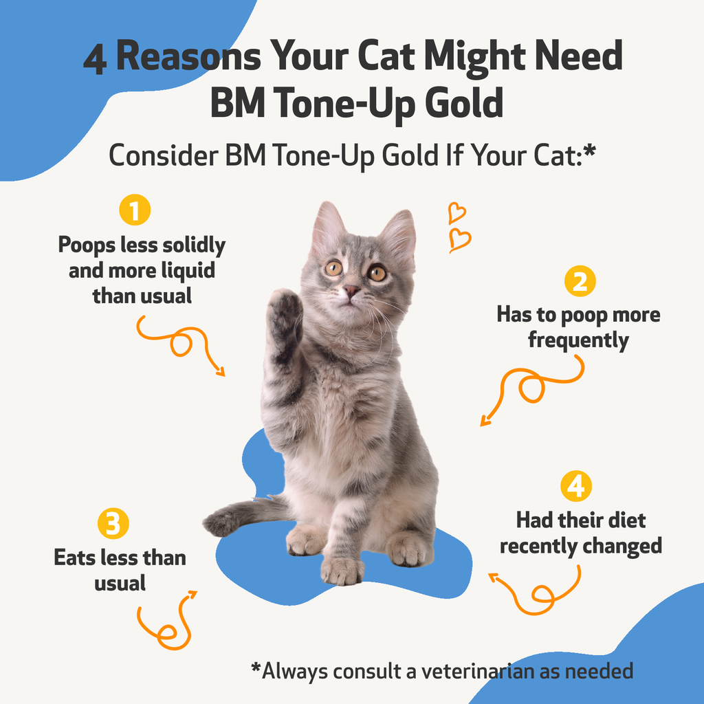 Pet Wellbeing - BM Tone-Up Gold - Cat