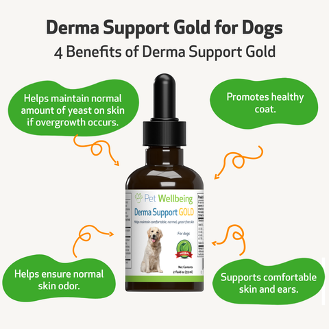 Pet Wellbeing - Derma Support Gold - Dog