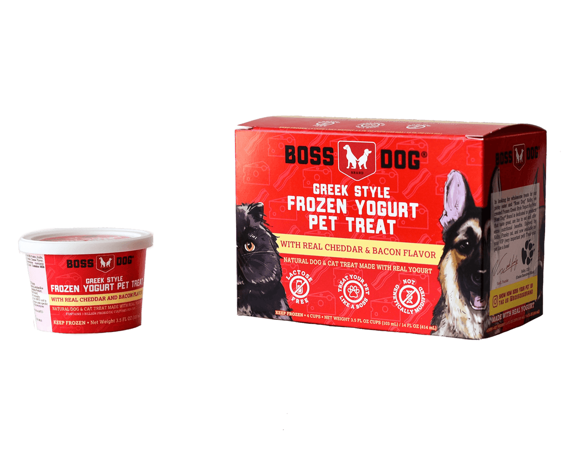 Boss Dog Greek Style Frozen Yogurt - Cheddar and Bacon Pet Treat
