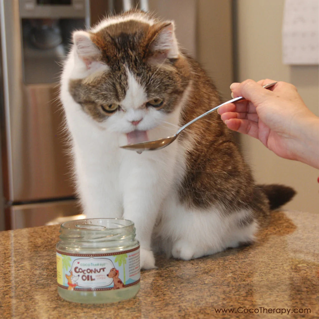 Virgin Coconut Oil - USDA Certified Organic Coconut Oil for dogs, cats, & birds