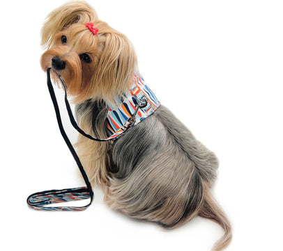 Chic Raindrop Harness Vest with Matching Leash