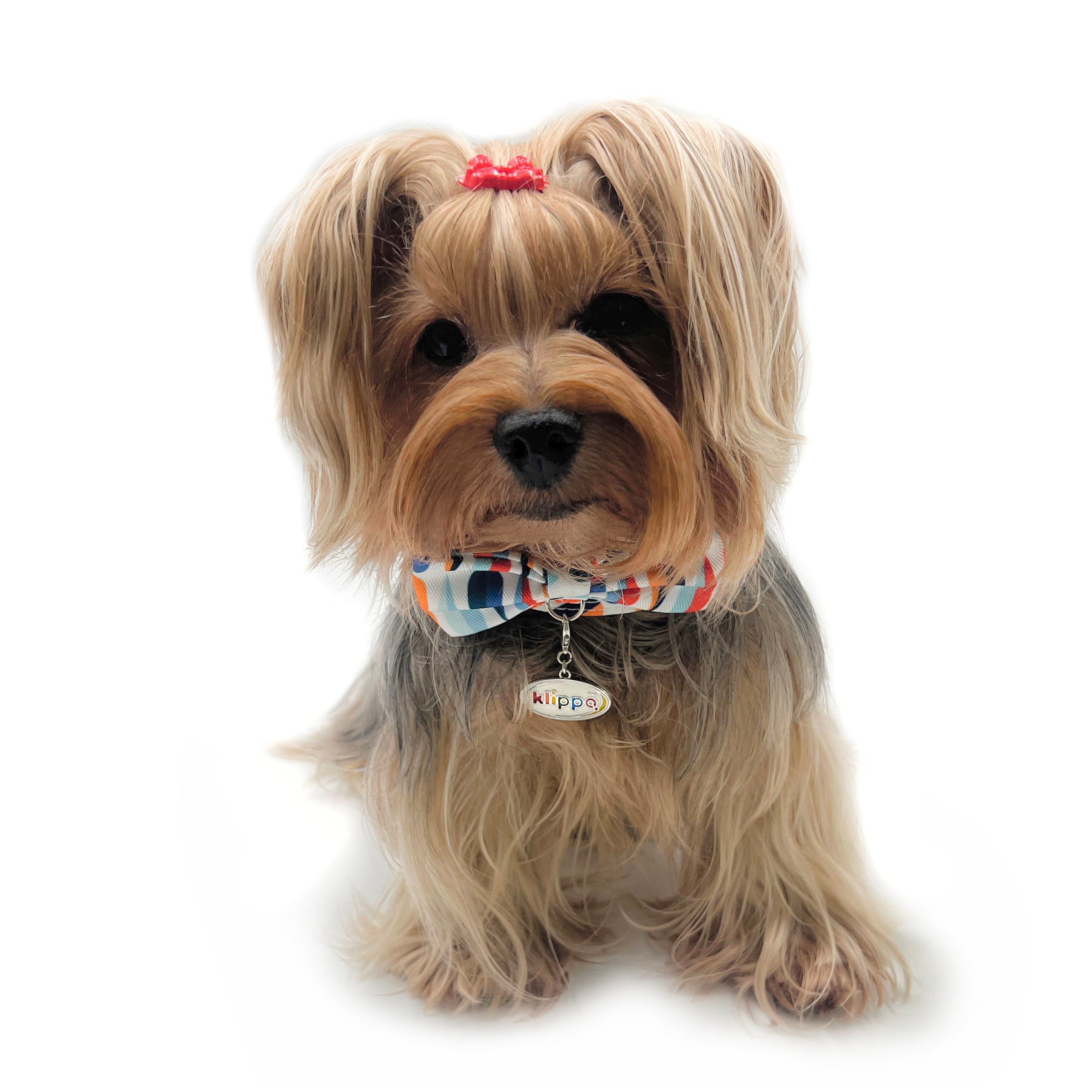 Chic Raindrop Harness Vest with Matching Leash