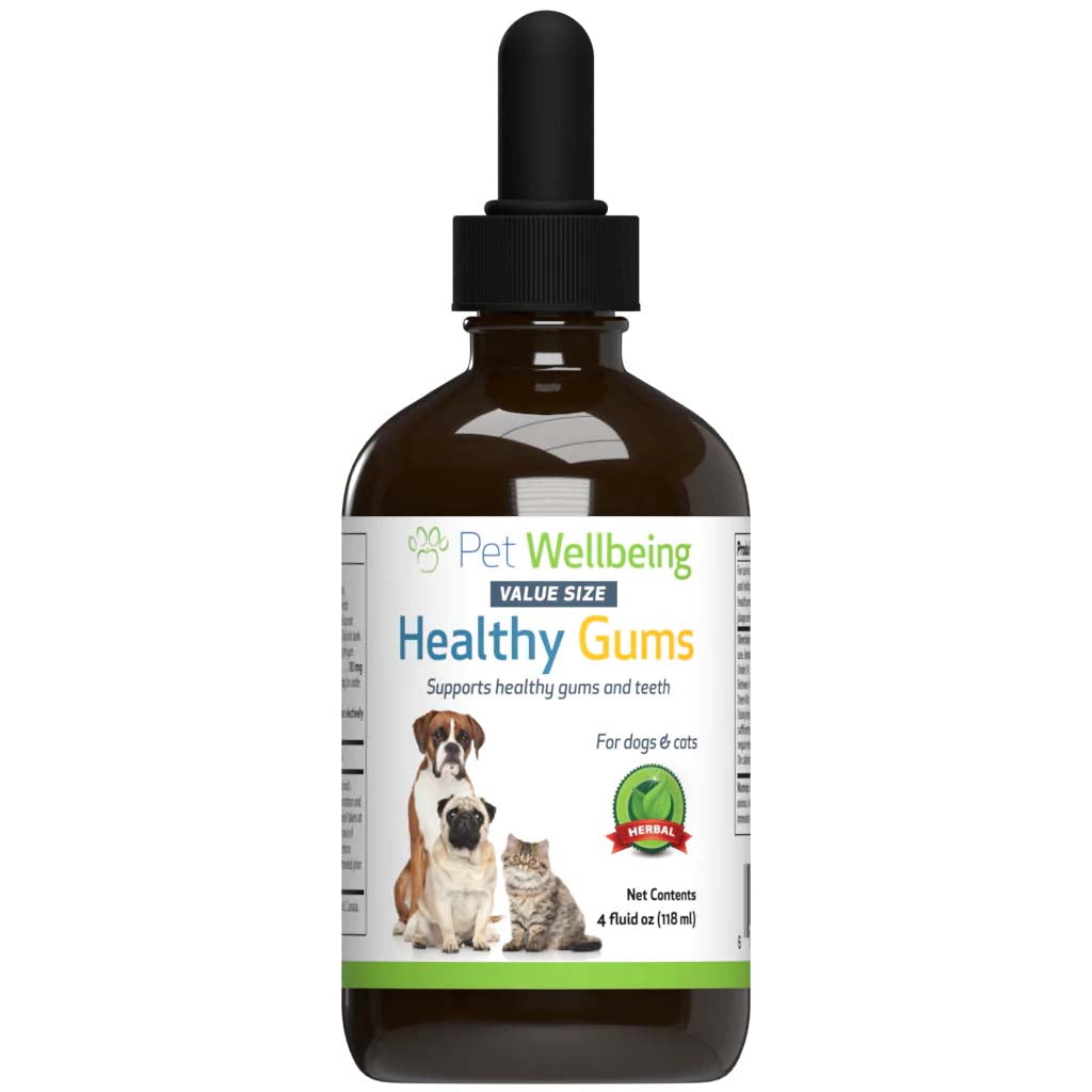 Pet Wellbeing - Healthy Gums