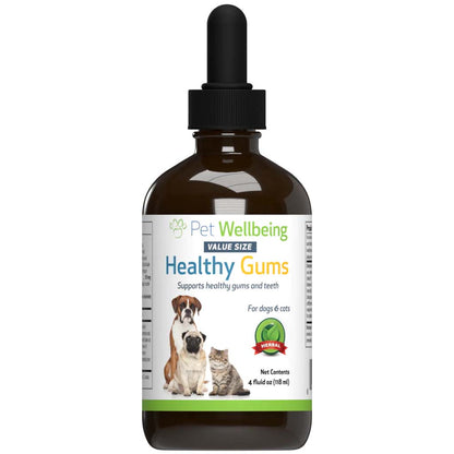 Pet Wellbeing - Healthy Gums