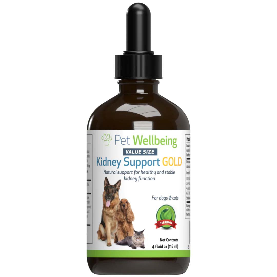 Pet Wellbeing - Kidney Support Gold