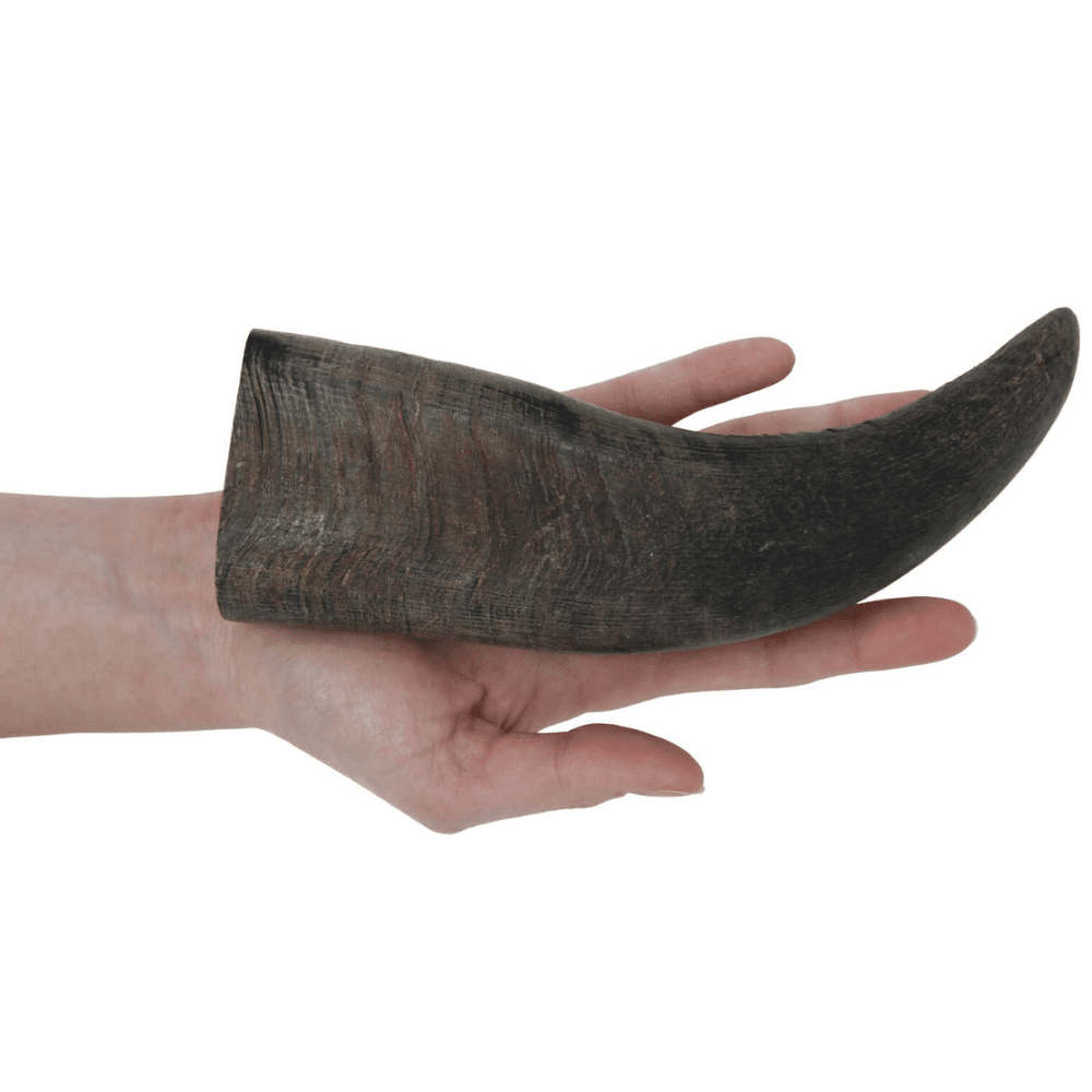 Peaks N Paws Water Buffalo Dog Chew - Medium